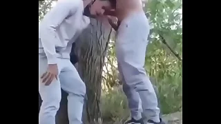 Safados fudendo no mato