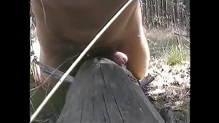 Fucking and cumming over a tree trunk