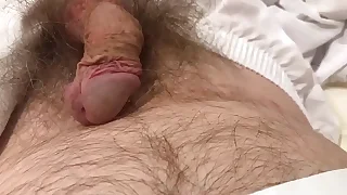 Soft hairy cock in white boxer shorts