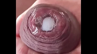 Compilation of uncut learn of