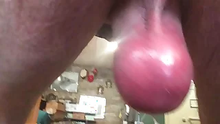 Bull balls