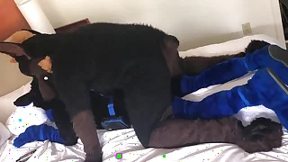 Slim fucks kairo murrsuit