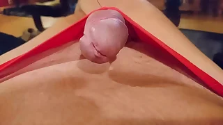 Roger virre - november/december 2020