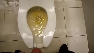 Peeing in a public toilet stall