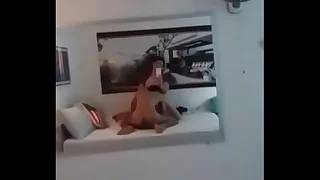 &ocirc;i tiếng r&ecirc;n nghe ph&aacute;t nứng